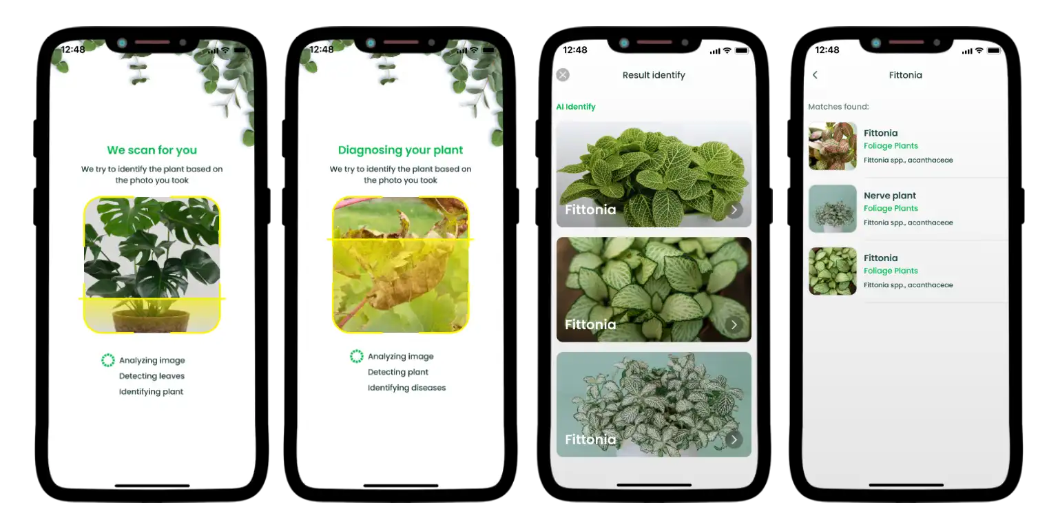 Exploration of AI Plant Finder’s capabilities.